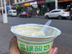 -德禄酸奶(莫家街店)