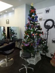 -维卡 Salon