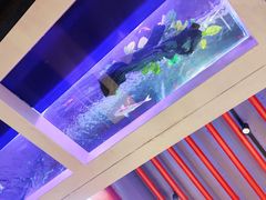 -鑫旺旺汤包(总店)