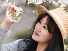 -南山植物园