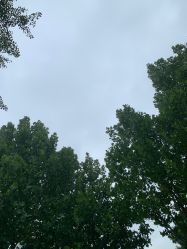 -HEYAN长风荷妍专业脱毛美肤

