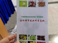 -广州市第二少年宫