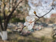 -江南大学(蠡湖校区)