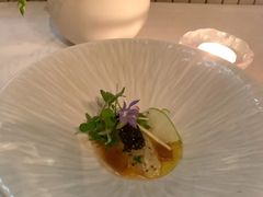 -蝶舍·MAISON PAPILLON