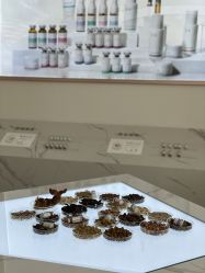 -采之汲·云南白药集团