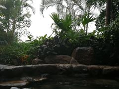 -厦门日月谷温泉渡假村