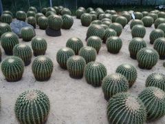 -广东茂名森林公园