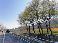 -大连铭湖国际观光牧场