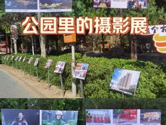 -太阳宫公园