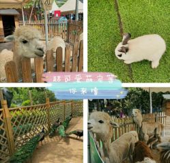 -萌宠亲子动物乐园(槐房万达店)