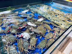 梭子蟹-永红源·啤酒烧烤海鲜大排档(台柳路店)