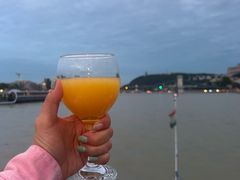 -多瑙河游船