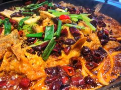 -老板恋上鱼(恒隆广场店)