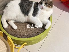 -派特宠物医院(圆融广场店)