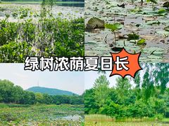 -大蜀山国家森林公园