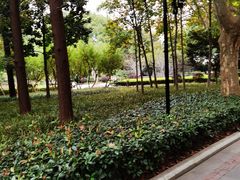 -徐家汇源景区-衡山公园