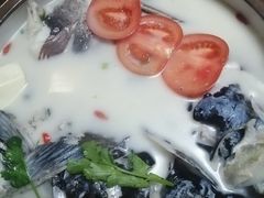 千岛湖浓汤鱼头-全乐鱼馆·淳牌有机鱼直营店