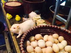 -德叔阙里·衢州菜馆(月湖店)