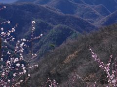 -龙泉峪长城