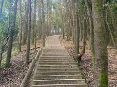 -阳台山森林公园