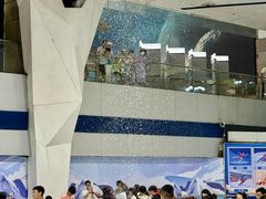 -正佳冰河湾真冰滑冰场