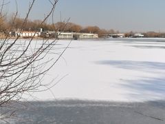 -大兴滨河森林公园