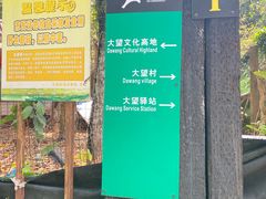 -梧桐山风景名胜区