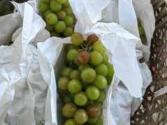 -马陆小张葡萄园农家乐