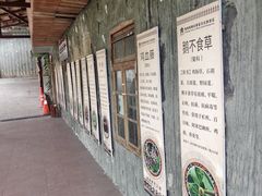 -海南槟榔谷黎苗文化旅游区