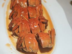 -淮扬府·游园京梦(成都 SKP 店)