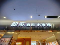 -龍歌自助小火锅(市南金茂湾店)