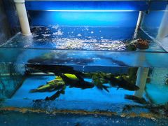 -阿姐小菜(三林店)