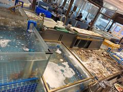 -半岛听涛蒸汽海鲜自助(K11店)