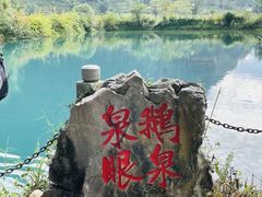 -靖西鹅泉风景区