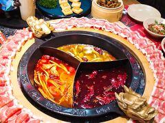 -蜀大侠火锅(森兰花园城店)