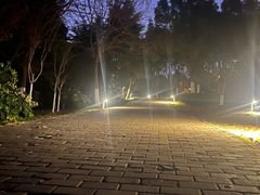 -滨湖塘西河公园