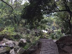 -清源山风景区