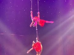 -珠海横琴长隆《卡卡虎奇遇记》