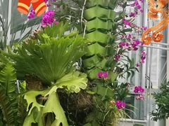 -国家植物园南园