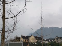 -四川省成都市彭州市白鹿镇