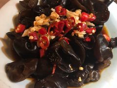 凉拌木耳-探窝·竹笙椰子鸡(杨箕店)