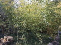 -南通博物苑-崇川人民公园