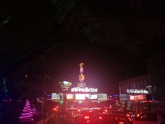 -枫花园汽车电影院(朝阳公园店)