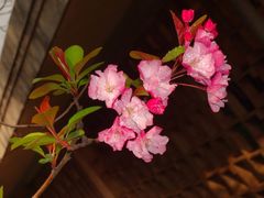 -昆明动物园
