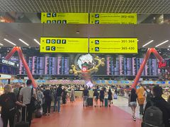 -谢列梅捷沃国际机场