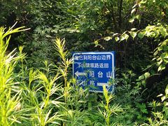 -阳台山自然风景区