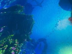 -海合安武汉极地海洋公园