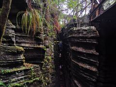 -梭布垭石林景区