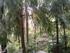 -高荡千年布依古寨旅游景区