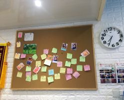 -EPAI·灰指甲·甲沟炎·嵌甲护理
